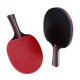 thumbnail image 3 of Raqueta de Tenis de Mesa 2 Unids/par Zulema Raqueta de tenis de mesa, 3 of 8