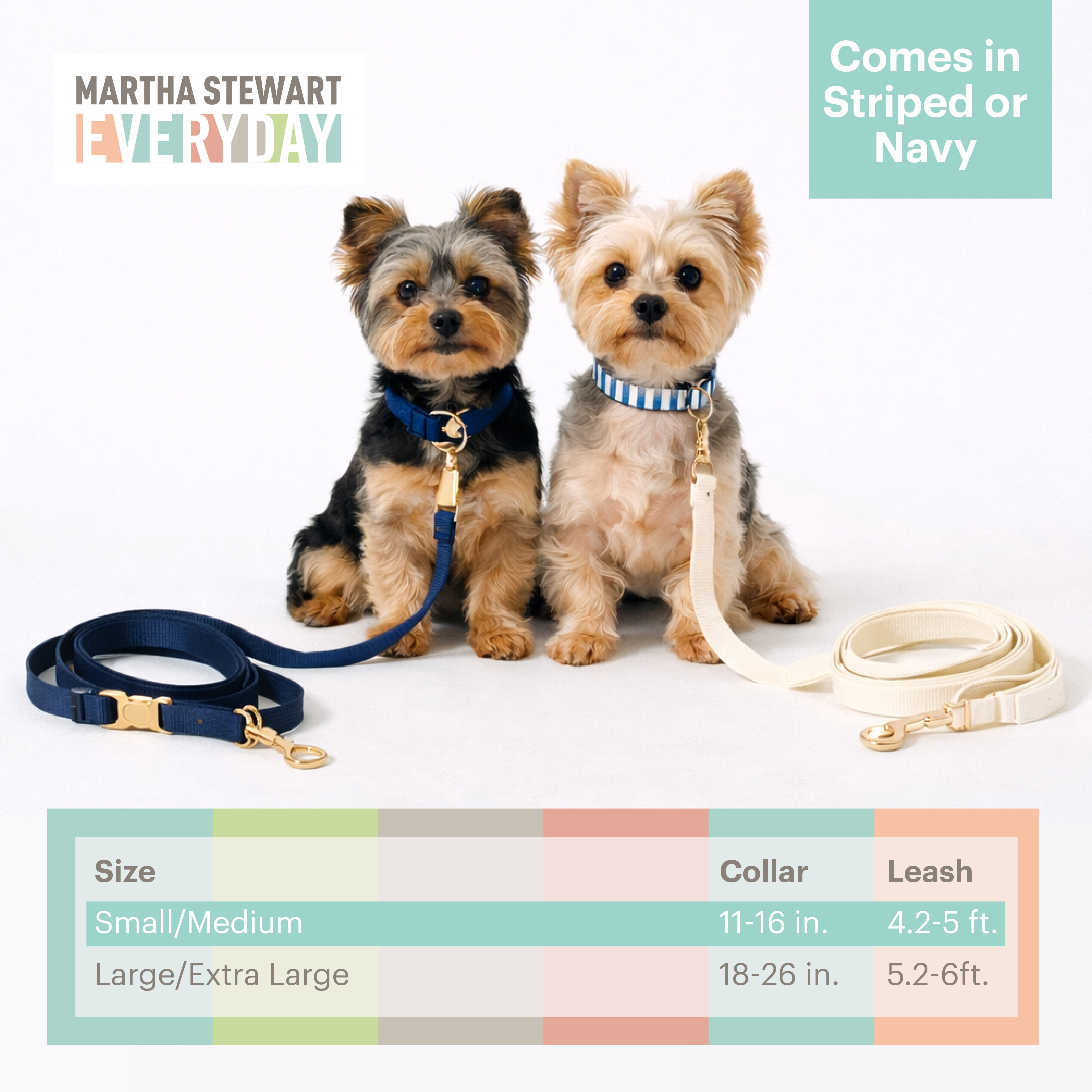 3 pc Leash Set Stripe