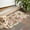 Pomeranian Dogs and, variant on Pomeranian Dogs and Pioneer Flower Door Rugs,Washable Non Slip Door Mats Indoor,Decorative Door Mats,Entry Mat Indoor for Entrance,Bedroom,Kitchen,Bathroom,16"x24"