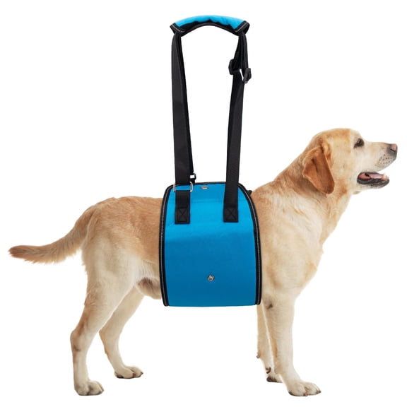 Dog Lift Support and Rehab Harness for Dogs with Weak Rear Legs Assist Senior Disabled Joint Injuried (m)