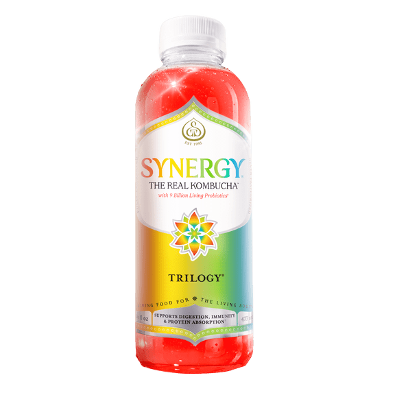 GT's Synergy Trilogy Raw Kombucha 16 fl oz