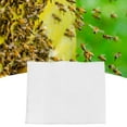 thumbnail image 3 of Apiculteur Accessoire, 5pcs Apiculture en Acier Inoxydable Ruche Gazes Ruche Gaze Maille Future-Proof Conception, 3 of 8