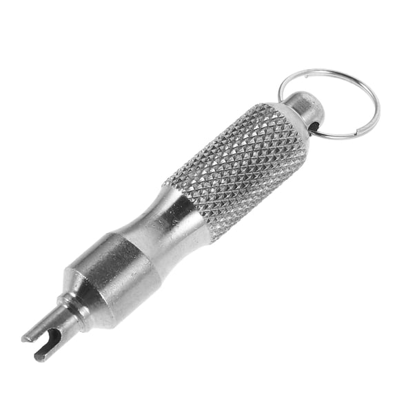 FRCOLOR Valve Core Remover Tool Stainless Steel Valve Core Removal Tool For Car Motorcycle Portable Mini Valve Core Tool With Keychain