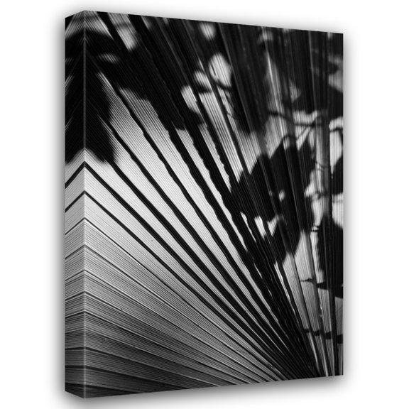 Lee Peterson 28x40 Gallery Wrapped Canvas Wall Art Titled - Shadow II
