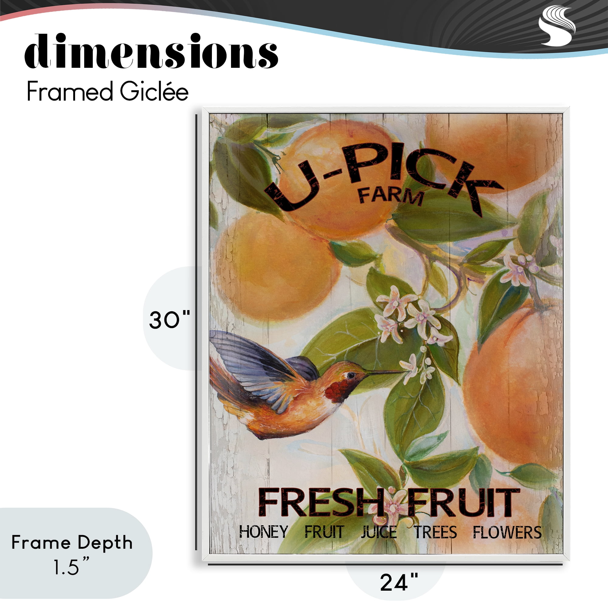 Stupell Industries U-Pick Fresh Fruit Farm White Framed Giclee Art, design by Diannart
