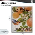 thumbnail image 4 of Stupell Industries Cottage U-Pick Fresh Fruit Farm White Framed Giclee Art, 24 x 30, by Diannart, 4 of 8