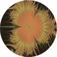 thumbnail image 1 of Ahgly Tapis Rond Lavable en Machine Intérieur Transitionnel Rouge Nuit, 5 Pieds Rond, 1 of 7