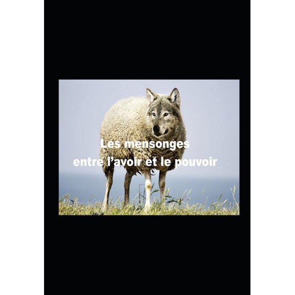 Les mensonges entre l'avoir et le pouvoir (Paperback)