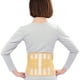 thumbnail image 1 of Cinturón de soporte lumbar cinturón de soporte lumbar transpirable para aliviar el dolor cinturón de fijación unisex con bolsillo postural cinturón lumbar terapéutico ANGGREK Otros, 1 of 8