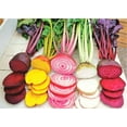 thumbnail image 3 of TomorrowSeeds - Rainbow Mix Beet Seeds - 600+ Count - For 2025 Planting 5 Species Blend Mixed Colors, 3 of 10