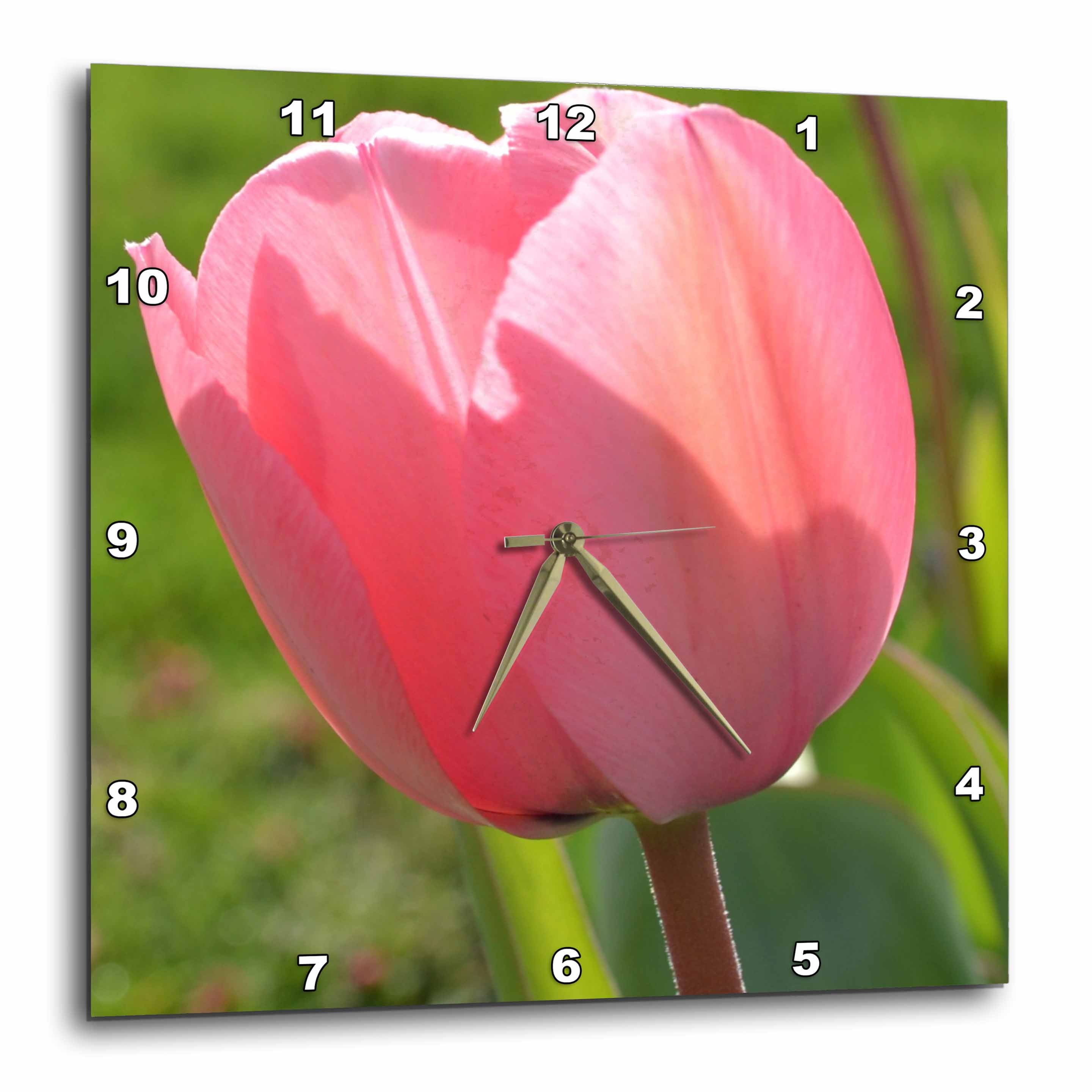 3drose Pink Tulip Ii Wall Clock 10 By 10 Inch Walmart Com Walmart Com