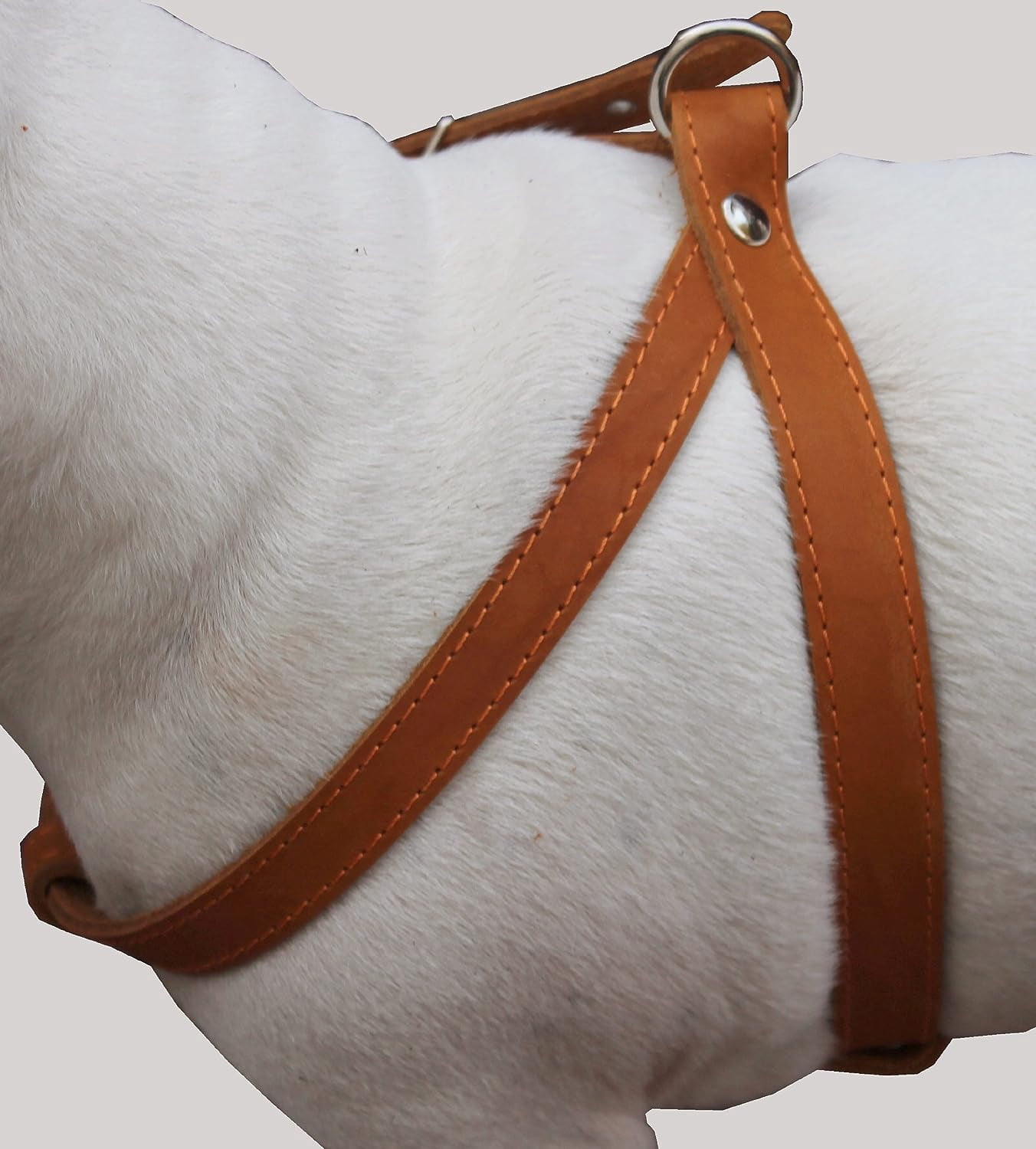 Tan High Quality Real Leather Dog Harness Medium. 21"-25" Chest, 1" Wide Straps