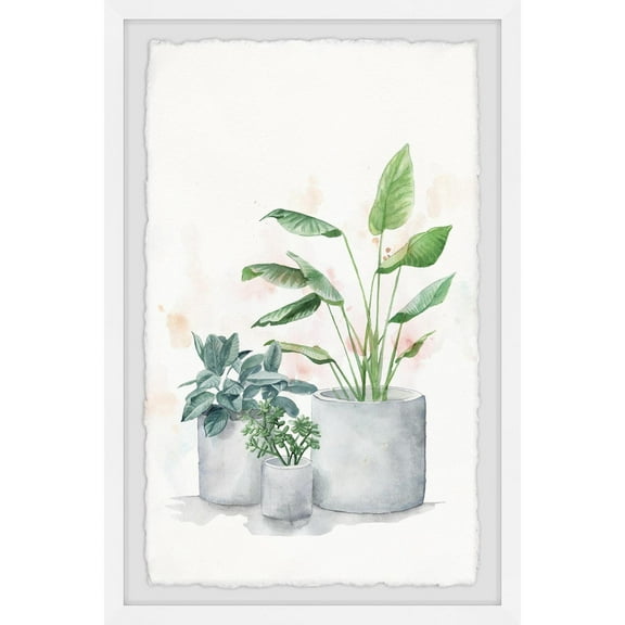 Marmont Hill Blooming Houseplants II Framed Painting Print-Size:8" x 12"