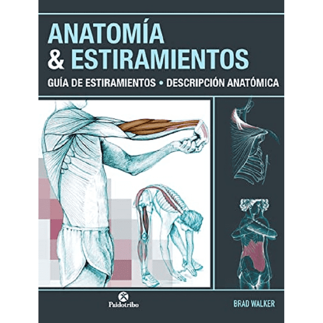 Libro Anatomia & Estiramientos Tapa Blanda, Autor Brad Walker, Editorial Editorial Paidotribo