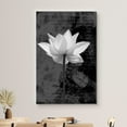 thumbnail image 3 of wall26 Canvas Print Wall Art Black &amp; White Water Lily &amp; Typography Floral Botanical Photography Modern Art Rustic Scenic Relax/Calm Dark for Living Room, Bedroom, Office - 32"x48", 3 of 5