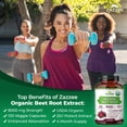 thumbnail image 4 of Zazzee USDA Organic Beet Root 20:1 Extract 8000 mg – 120 Vegan Capsules – Supports Nitric Oxide Production & Energy – Non-GMO • Kosher • Made in USA, 4 of 11