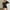 Black, variant on Pitauce Swimsuit Coverup for Women Crochet Coverup Bell Sleeve Beach Backless Bathing Suit Summer Cover Ups Bikini Swimwear on Clearance