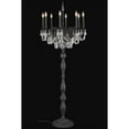 thumbnail image 1 of Elegant Lighting Rosalia 62" 8 Light Elements Crystal Floor Lamp, 1 of 1
