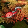 thumbnail image 4 of Plush Snake Stuffed Animal Toy, Soft Long Snake Dolls Plushie Hugger Toy for Boys  Girls Gifts for Kids Halloween Birthday Christmas Gift Home Decor, 4 of 6