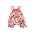 thumbnail image 1 of Liacowi Infant Baby Girls Summer Clothes Floral Romper Lace Patchwork Ruffle Jumpsuit, 1 of 8