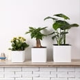 thumbnail image 4 of S SERENABLE 2PCS Self-watering White Plastic Pot Planter for Plants Flowers, with, 4 of 9