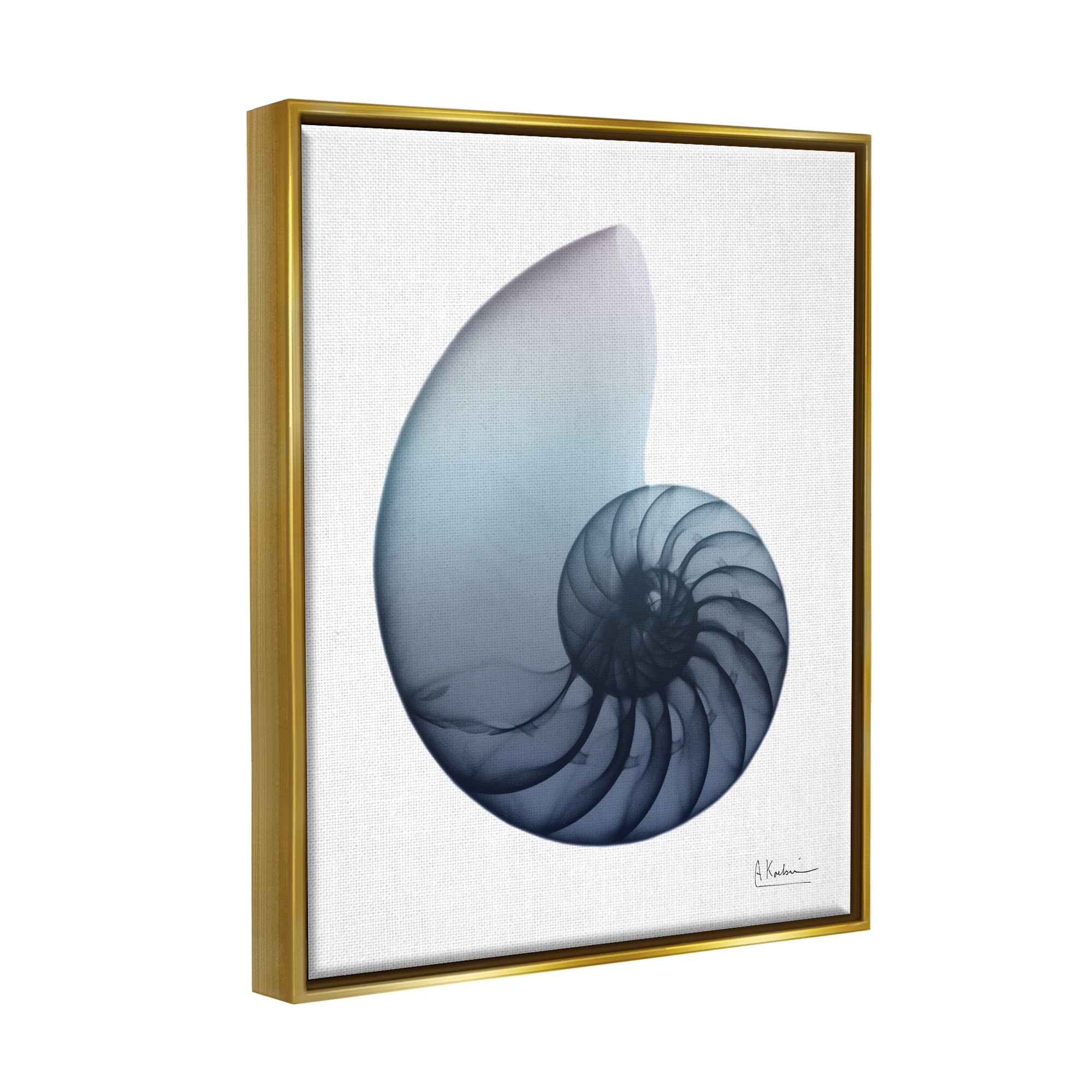 Stupell Industries Contemporary Nautilus Shell Abstract Photography Gold Floater Framed Art Print Wall Art, 25 x 31