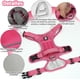 thumbnail image 2 of Arnés para Perro Chico Mediano Grande con Correa 1.5m, Pechera para Perro Ajustable Reflectante Transpirable, Arneses para Perro Sin Tirones para Caminar Viajar Entrenar Perros Accesorios, 2 of 4