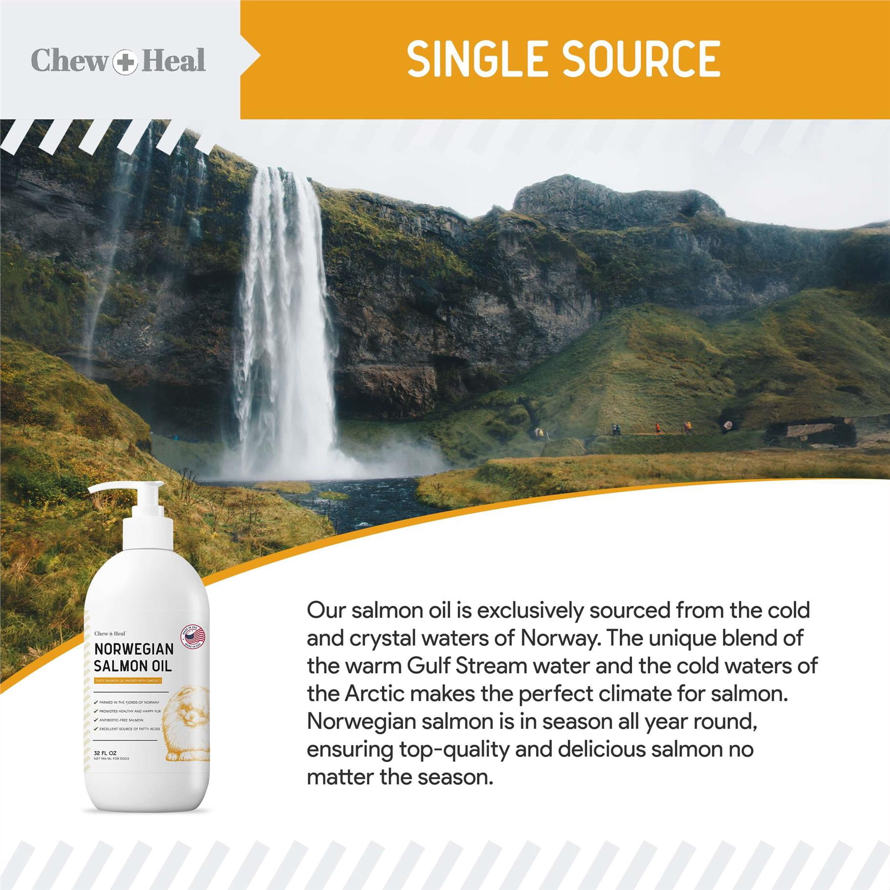 Chew + Heal Norwegian Salmon Oil for Dogs - 8 oz, Fish Oil for Dogs Skin and Coat - Omega 3
