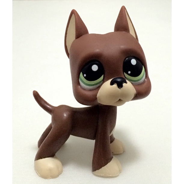 LPS-tienda de mascotas de PVC para niños, juguetes en polvo, gato grande, perro Dan, animal pequeño, acción de pie, regalo de Navidad qym unisex
