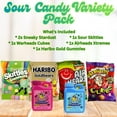 thumbnail image 2 of Sour Candy Variety Pack, Assorted Gum & Gummy Candy Mix, 6-Count Chewy Share Size Party Pack for Party Favors, Gift Sets & Goodie Bags, 2 of 8