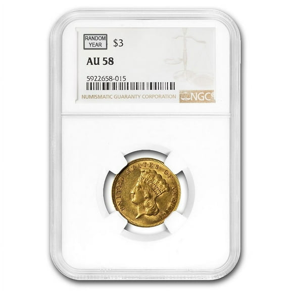 $3 Gold Princess AU-58 NGC/PCGS