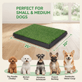 thumbnail image 6 of Dog Toilet Indoor Puppy Training Pad, Dog Potty Pet Training Grass Mat, Removable Waste Tray for Easier Clean Up, with 2 Pcs Artificial Turf, 25''x20'', 6 of 7