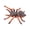 C, variant on A Pvc Summer Simulation Insect Model Toy For Kids Childrens Science Education Centipede Figurine