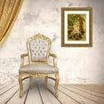 thumbnail image 3 of Emil August Göldi 19x24 Gold Ornate Framed and Double Matted Museum Art Print Titled - Cujubi, Jacus, Aracuas, Jacamins (1900-1906), 3 of 4