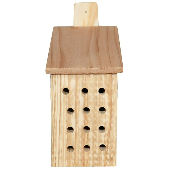 Best Bee Brothers Slanted Roof Mason Bee Home and other Solitary Bee Species