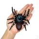 thumbnail image 3 of Araña realista gigante, araña falsa, modelo de acción de araña, figuras de juguete de insectos realistas, accesorios de broma de Halloween, suministros para fiestas, 3 of 5