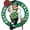 Boston Celtics, variant on Lifetime NBA Chicago Bulls Poolside Basketball Hoop, Outdoor