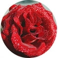 thumbnail image 4 of FTCBJJA Preserved Real Rose in Beautiful Creative Heart Design Glass Dome, Everlasting Black Roses Gift, 4 of 5