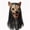 A2, variant on Halloween Wolf Mask,Realistic Furry Werewolf Mask,Scary Latex Wolf Headwear