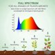 thumbnail image 4 of LED Grow Lights A19 Full Spectrum for Indoor Plants E26 - Plant Growing Light Bulb, 4 of 5