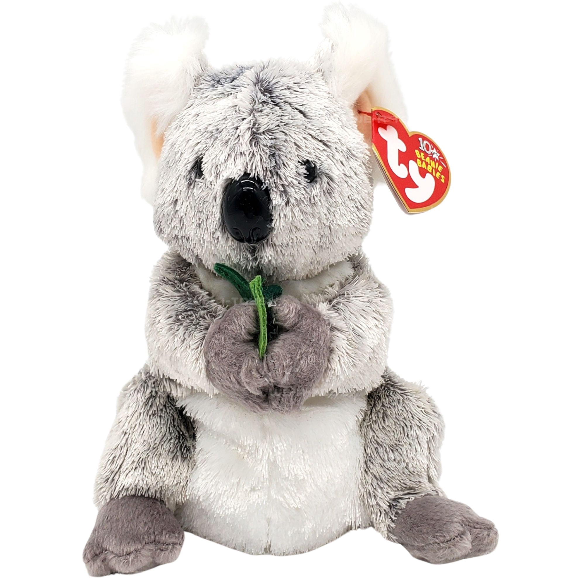 Ty Beanie Baby: Bonzer the Koala Bear | Stuffed Animal | MWMT's