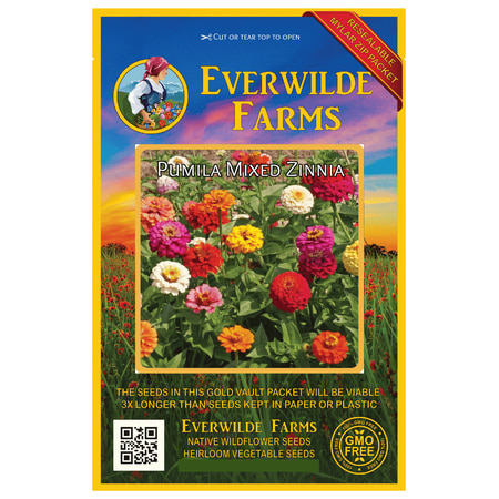 Zinnia Seeds Everwilde Farms - 200 Pumila Mixed Zinnia Garden Flower Seeds - Gold Vault Jumbo Bulk Seed Packet ()