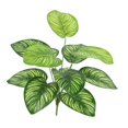 thumbnail image 2 of Artificial Plants Home Decor Green Photo Props Green Garden Decoration for Shelf F, 2 of 9