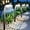 Cool White, variant on Solar Pathway Lights Outdoor, Bright LED Solar Lights Outdoor Waterproof, Up to 12 Hrs Modern Path Lighting for Yard Garden Walkway Driveway Lawn Decor