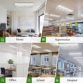 thumbnail image 6 of Spring Floral Magnetic Fluorescent Light Covers for Ceiling Lights 2x4Ft, Colorful Botanical Wildflower Summer Office Classroom Kitchen Drop Ceiling Light Covers Lighting Filters Shade Panel 2 Packs, 6 of 9