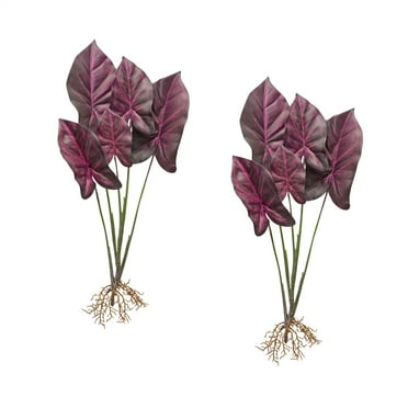 Melrose Caladium Plant (Set of 2) 22.25"H Polyester
