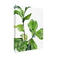 thumbnail image 2 of Jennifer Paxton Parker 'Fiddle Fig II' Canvas Art, 2 of 3