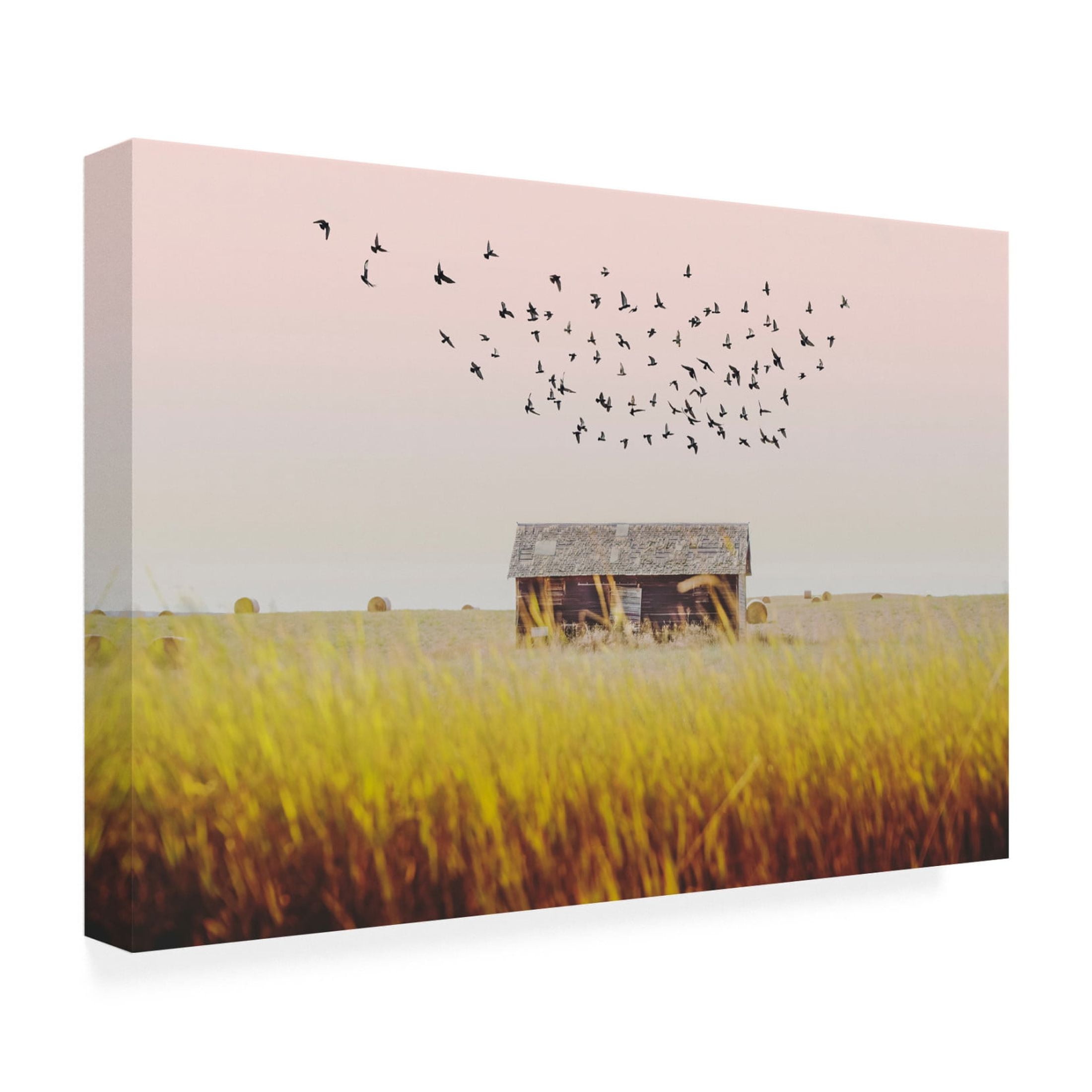 Canvas Wall Art - Annie Bailey Art 'Harvest Barn' Wall Art for Living Room, Bedroom, or Office Décor by Trademark Fine Art - 19 x 12 Inches