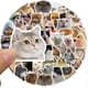 thumbnail image 2 of 50PCS Cat Stickers, Cute Aesthetic Cat Decals Vinyl Waterproof Stickers for Water Bottle Laptop Luggage Helmet Skateboard Snowboard Guitar Scrapbook, 2 of 4