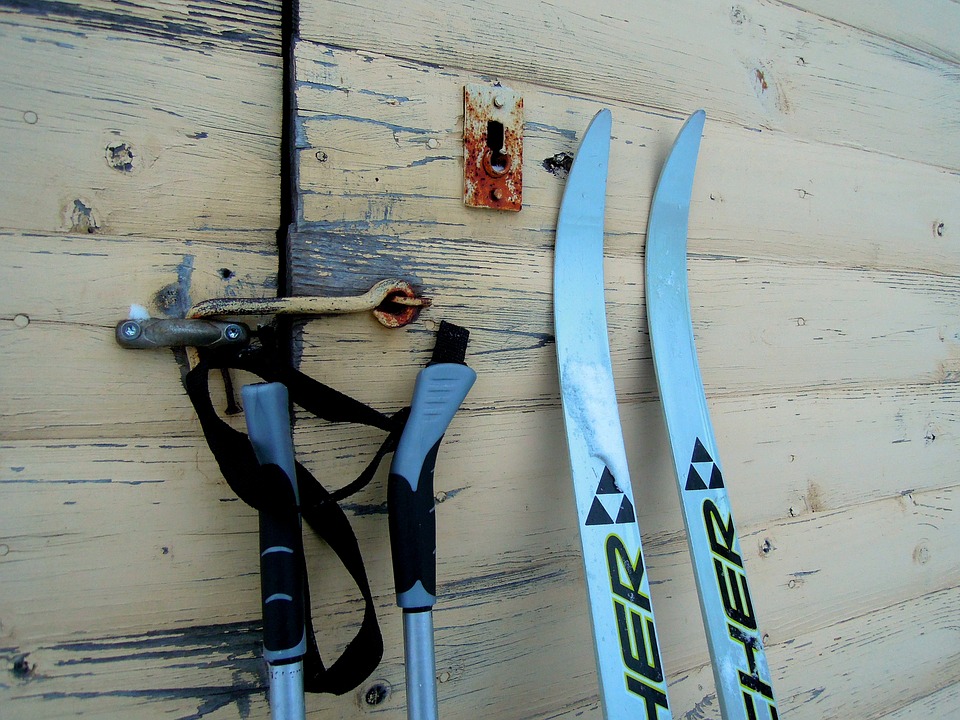 Ski Sticks Nature Skiing Skis Skier Snow Winter12 Inch BY 18 Inch